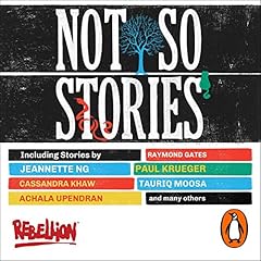 Not So Stories cover art