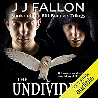 The Undivided Audiobook By J J Fallon cover art