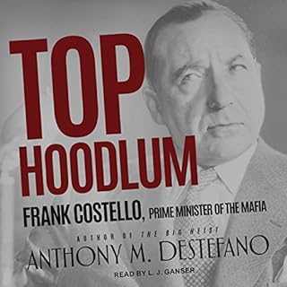 Top Hoodlum Audiobook By Anthony M. DeStefano cover art