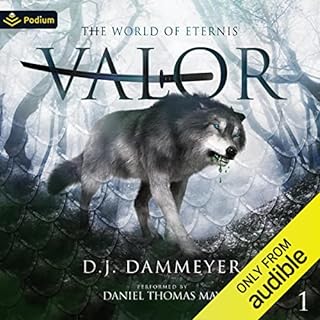 Valor Audiobook By D.J. Dammeyer cover art