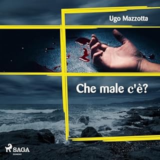 Che male c'è? copertina