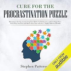 Cure for the Procrastination Puzzle cover art