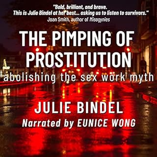 The Pimping of Prostitution cover art