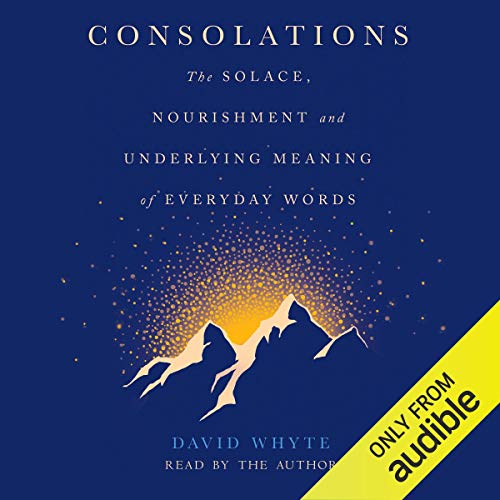 Consolations Audiobook By David Whyte cover art