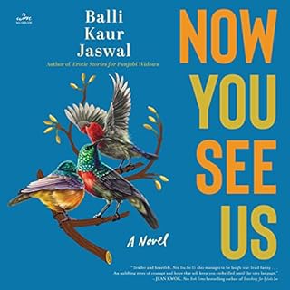 Now You See Us cover art