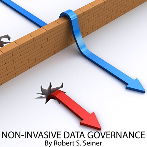 Non-Invasive Data Governance cover art