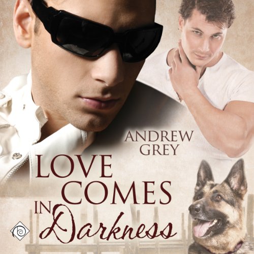 Love Comes in Darkness Audiobook By Andrew Grey cover art