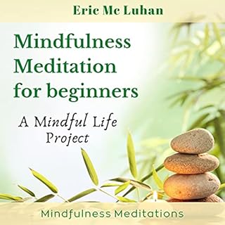 Mindful Meditation for Beginners - Mindfulness Meditation Audiobook By Eric McLuhan cover art