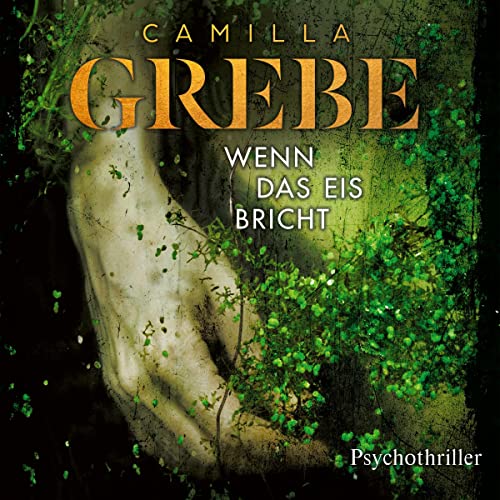 Wenn das Eis bricht Audiolibro Por Camilla Grebe arte de portada