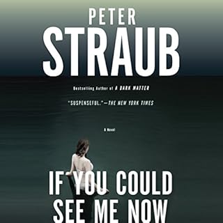 If You Could See Me Now Audiolibro Por Peter Straub arte de portada