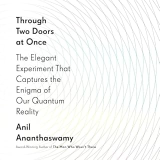 Through Two Doors at Once Audiolibro Por Anil Ananthaswamy arte de portada