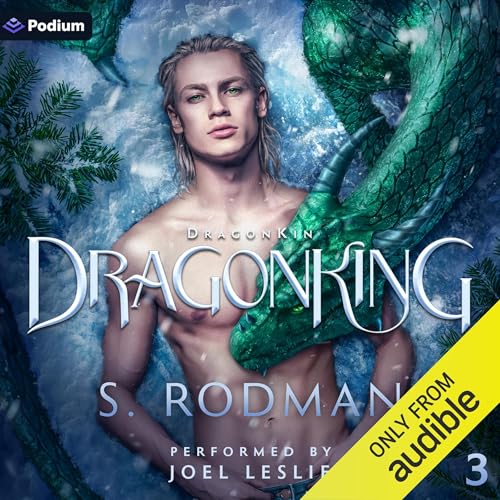 DragonKing Audiobook By S. Rodman cover art