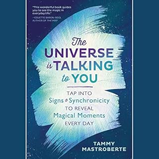 The Universe Is Talking to You Audiobook By Tammy Mastroberte cover art