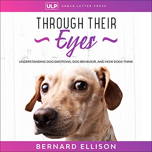 Through Their Eyes Audiolibro Por Bernard Ellison arte de portada