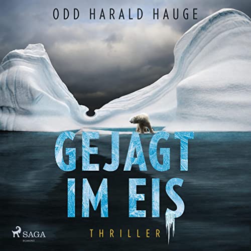 Couverture de Gejagt im Eis