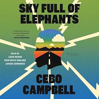 Sky Full of Elephants Audiobook By Cebo Campbell cover art