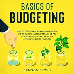 Basics of Budgeting cover art