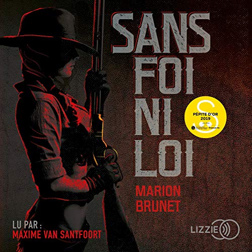 Sans foi ni loi Audiobook By Marion Brunet cover art