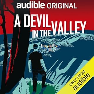 A Devil in the Valley Audiobook By Paul Holes, Peter McDonnell cover art