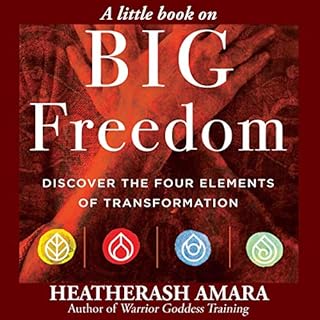 A Little Book on Big Freedom Audiolibro Por HeatherAsh Amara arte de portada