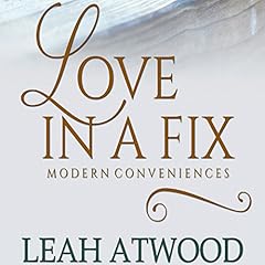 Love in a Fix cover art