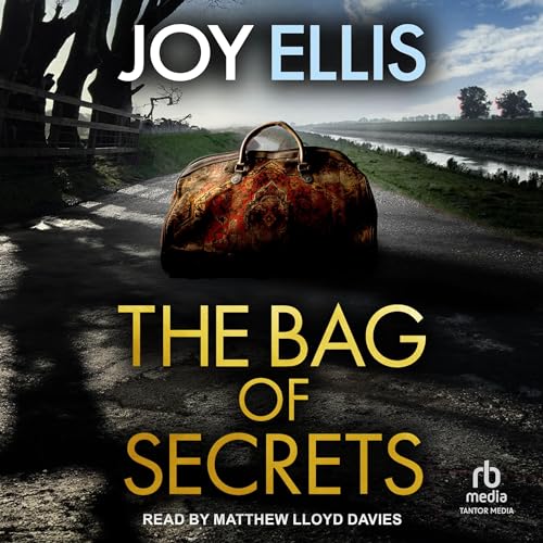 The Bag of Secrets cover art