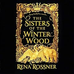 The Sisters of the Winter Wood Audiolibro Por Rena Rossner arte de portada