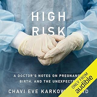 High Risk Audiobook By Chavi Eve Karkowsky MD cover art