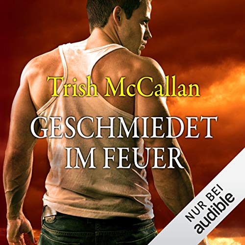 Geschmiedet im Feuer cover art