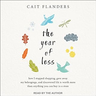 The Year of Less Audiolibro Por Cait Flanders arte de portada