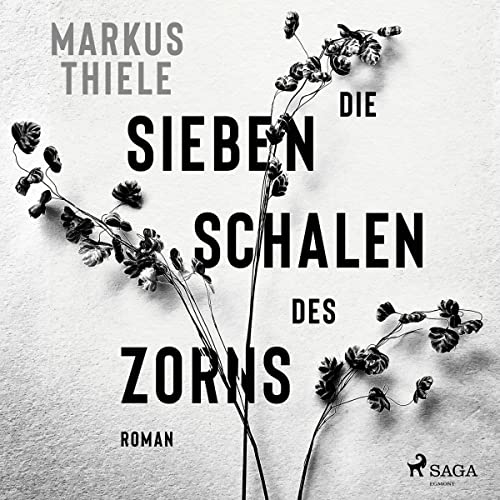 Die sieben Schalen des Zorns cover art