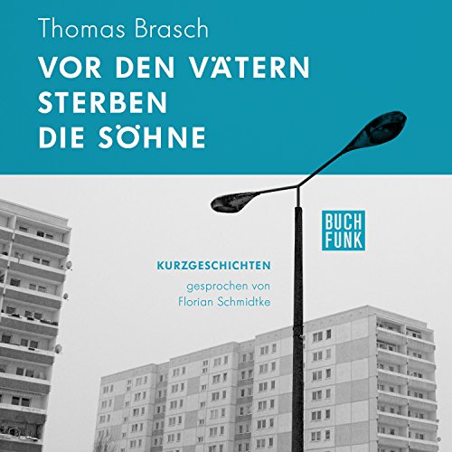 Vor den Vätern sterben die Söhne cover art