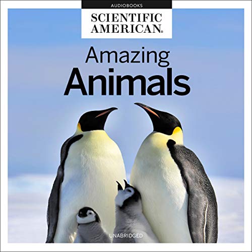 Diseño de la portada del título Amazing Animals