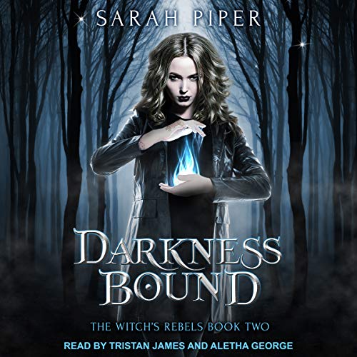 Darkness Bound: A Reverse Harem Paranormal Romance cover art