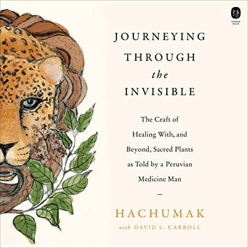 Journeying Through the Invisible Audiolibro Por Hachumak, David L. Carroll - contributor arte de portada