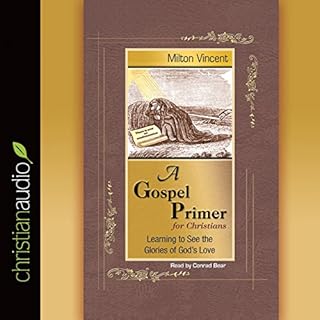 A Gospel Primer Audiobook By Milton Vincent cover art