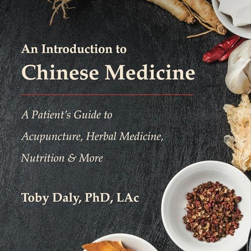 An Introduction to Chinese Medicine cover art