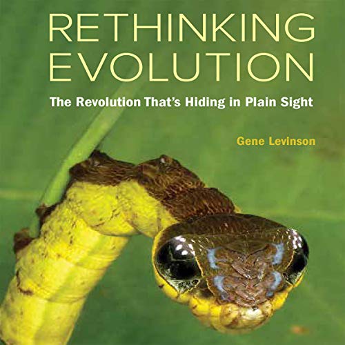 Rethinking Evolution cover art