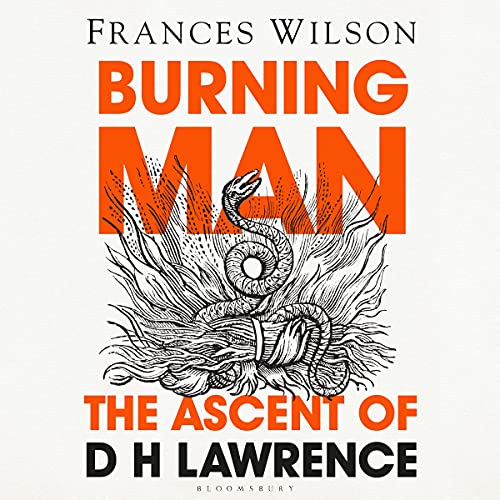 Burning Man cover art