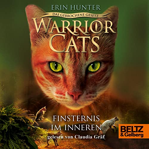 Finsternis im Inneren cover art