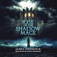 Couverture de Rise of the Shadow Mage