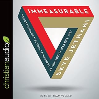 Immeasurable Audiolibro Por Skye Jethani arte de portada