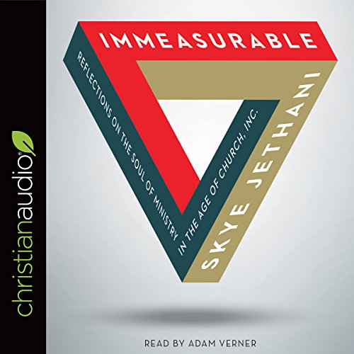 Immeasurable Audiolibro Por Skye Jethani arte de portada