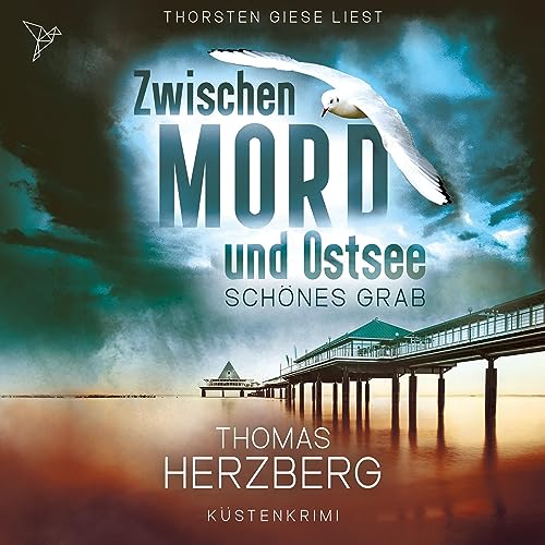 Schönes Grab Audiolivro Por Thomas Herzberg capa