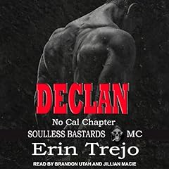 Declan Audiobook By Erin Trejo cover art