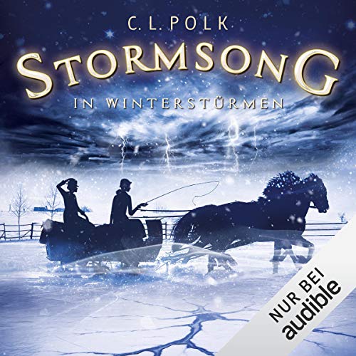 Stormsong. In Winterstürmen cover art