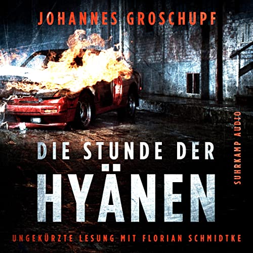 Die Stunde der Hyänen cover art