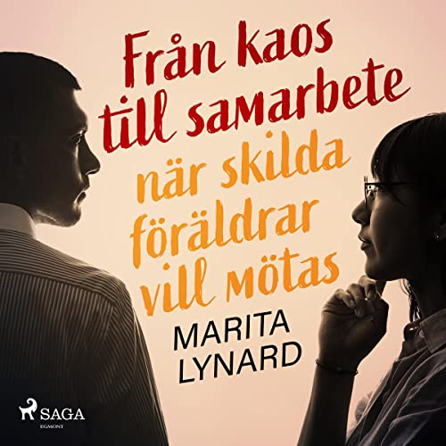 Från kaos till samarbete - När skilda föräldrar vill mötas Audiolivro Por Marita Lynard capa