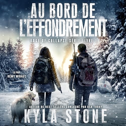 Au Bord De L’effondrement [On the Verge of Collapse] cover art