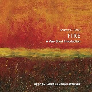 Fire Audiolibro Por Andrew C. Scott arte de portada